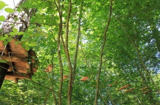 Installations du parc